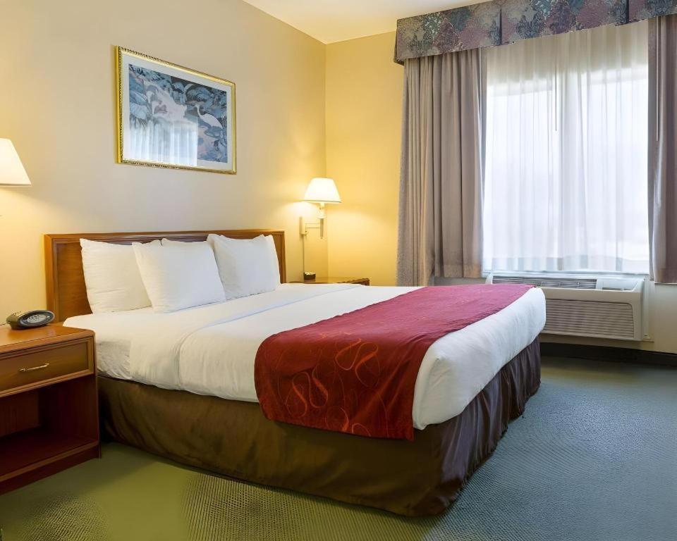 Comfort Suites La Porte Exteriér fotografie